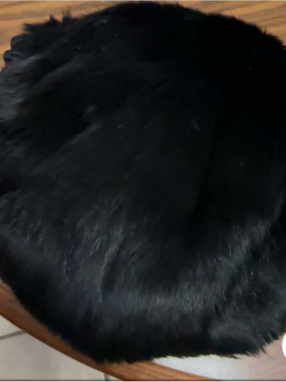 Vintage 1855 Genuine Black Fox Fur Muff Hand Warmer. Allbrecht Furs St Paul